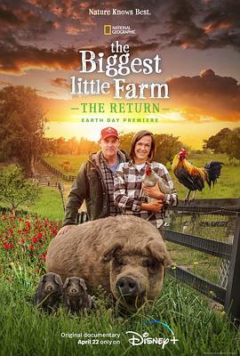 最大的小小农场：回归 The Biggest Little Farm: The Return